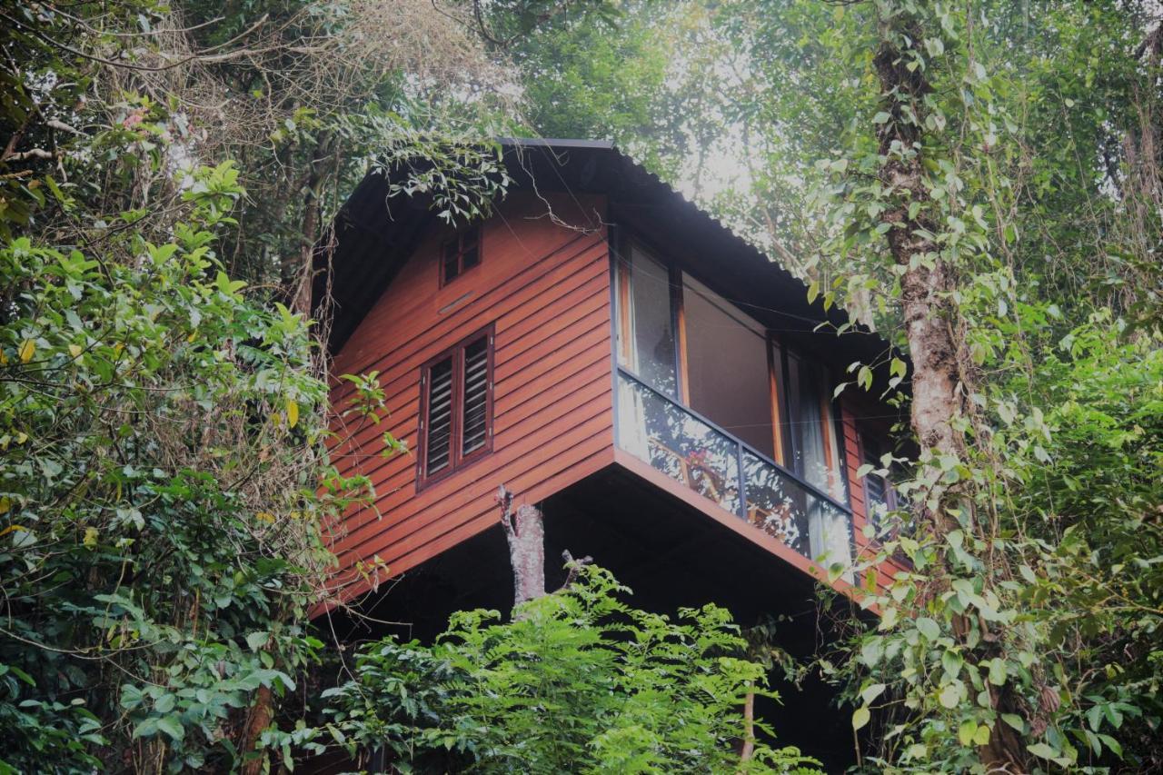 Tree6 Wayanad Villa Vythiri Eksteriør bilde