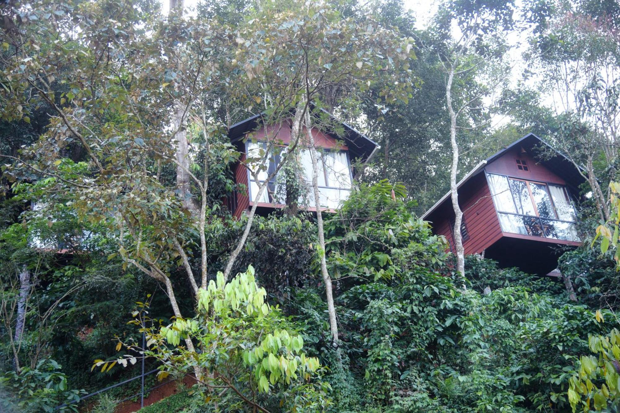 Tree6 Wayanad Villa Vythiri Eksteriør bilde