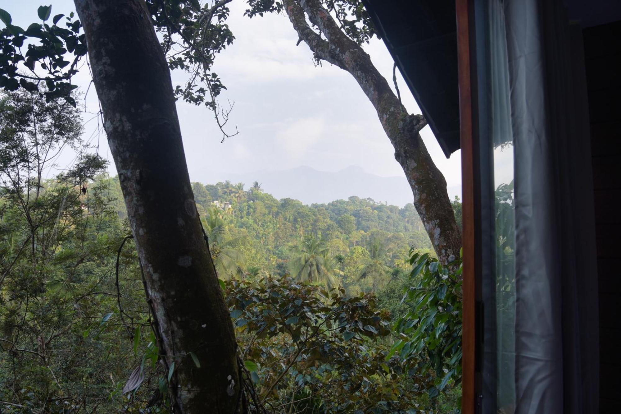 Tree6 Wayanad Villa Vythiri Eksteriør bilde
